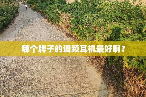 哪个牌子的调频耳机最好啊？
