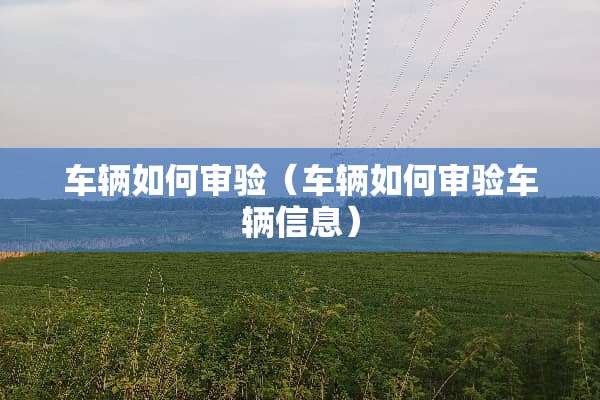 车辆如何审验（车辆如何审验车辆信息）