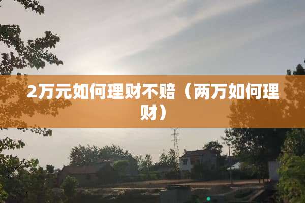 2万元如何理财不赔（两万如何理财）