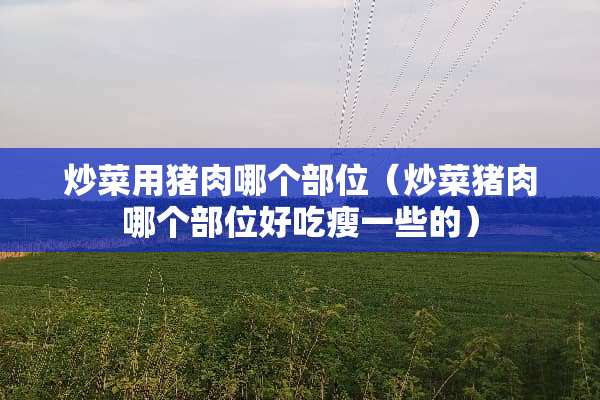 炒菜用猪肉哪个部位（炒菜猪肉哪个部位好吃瘦一些的）