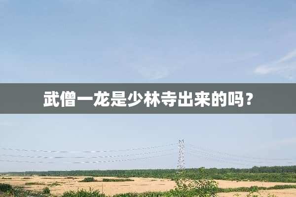 武僧一龙是少林寺出来的吗？