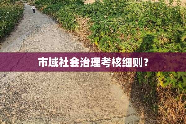 市域社会治理考核细则？