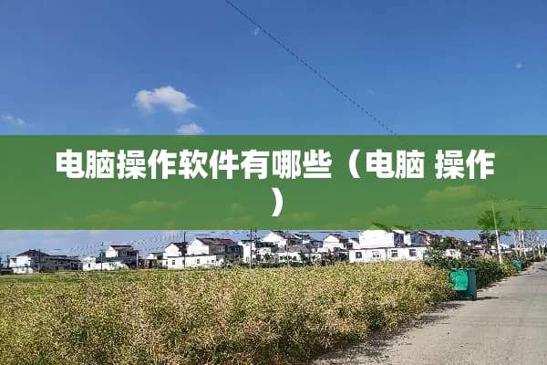 电脑操作软件有哪些（电脑 操作）
