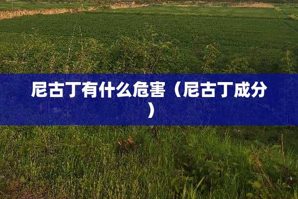 ***有什么危害（***成分）