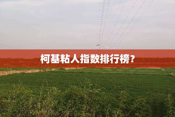 柯基粘人指数排行榜？