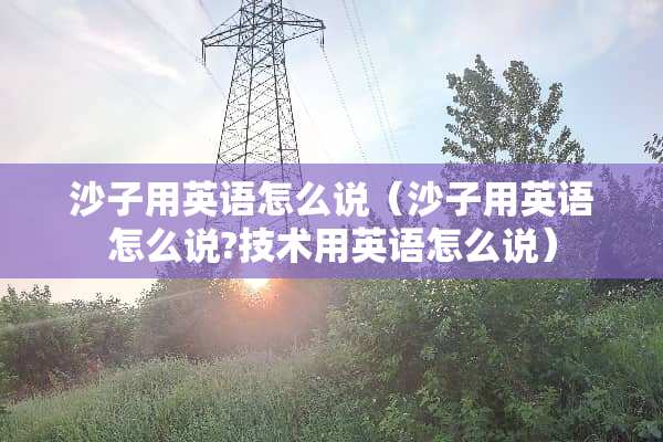 沙子用英语怎么说（沙子用英语怎么说?技术用英语怎么说）