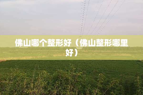佛山哪个整形好（佛山整形哪里好）
