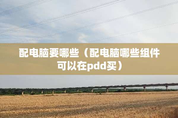 配电脑要哪些（配电脑哪些组件可以在pdd买）