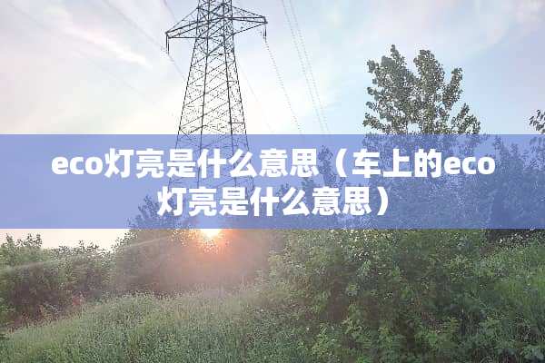 eco灯亮是什么意思（车上的eco灯亮是什么意思）