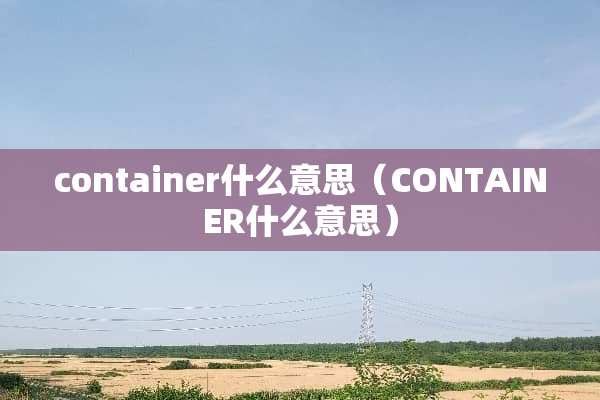 container什么意思（CONTAINER什么意思）
