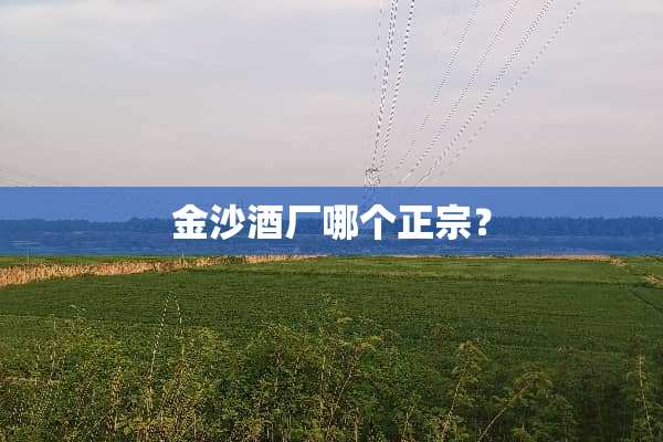 金沙酒厂哪个正宗？