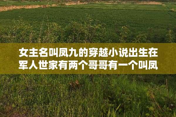 女主名叫凤九的穿越小说出生在军人世家有两个哥哥有一个叫凤亦宸？