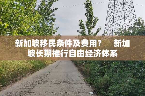 新加坡移民条件及费用？　新加坡长期推行自由经济体系