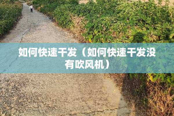 如何快速干发（如何快速干发没有吹风机）