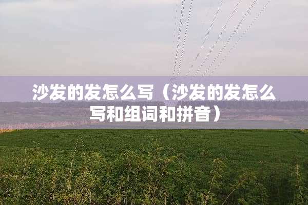 沙发的发怎么写（沙发的发怎么写和组词和拼音）
