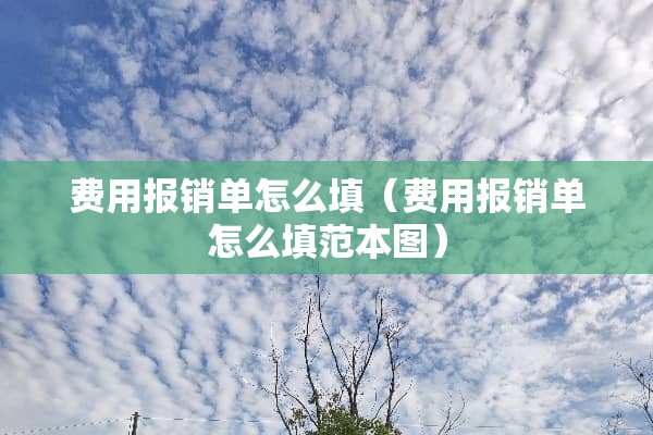 费用报销单怎么填（费用报销单怎么填范本图）