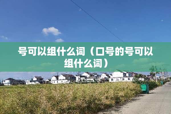号可以组什么词（口号的号可以组什么词）