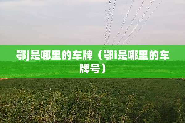 鄂j是哪里的车牌（鄂i是哪里的***）