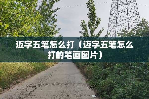 迈字五笔怎么打（迈字五笔怎么打的笔画图片）