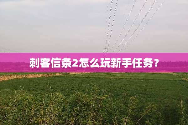 刺客信条2怎么玩新手任务？
