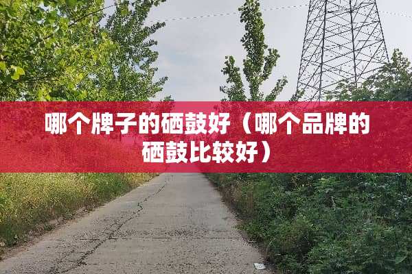 哪个牌子的硒鼓好（哪个品牌的硒鼓比较好）