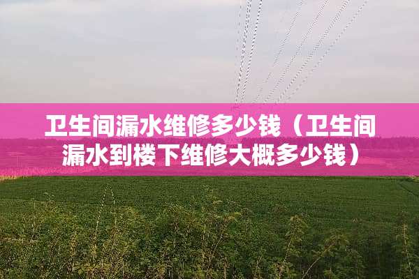 卫生间漏水维修多少钱（卫生间漏水到楼下维修大概多少钱）