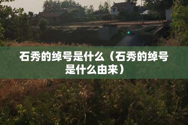 石秀的绰号是什么（石秀的绰号是什么由来）