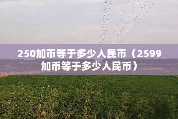 250加币等于多少人民币（2599加币等于多少人民币）