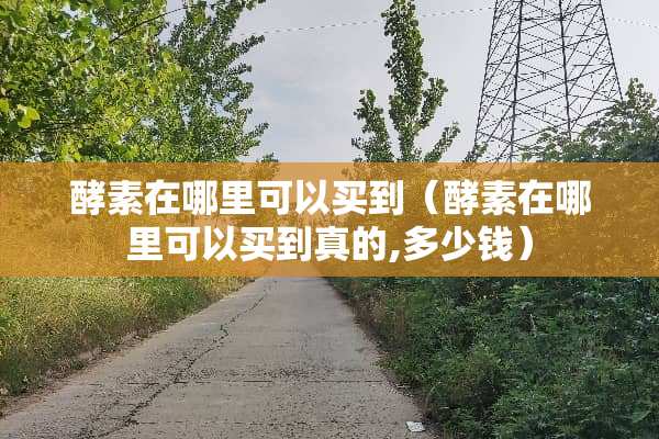 酵素在哪里可以买到（酵素在哪里可以买到真的,多少钱）