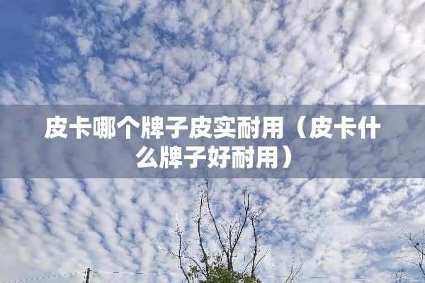 皮卡哪个牌子皮实耐用（皮卡什么牌子好耐用）