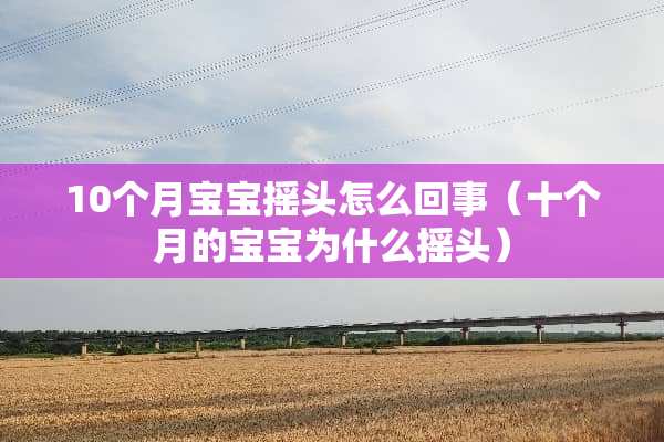 10个月宝宝摇头怎么回事（十个月的宝宝为什么摇头）