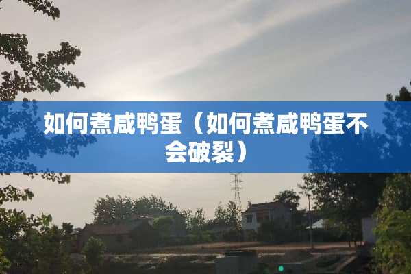 如何煮咸鸭蛋（如何煮咸鸭蛋不会破裂）