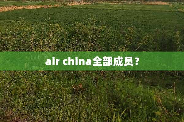 air china全部成员？