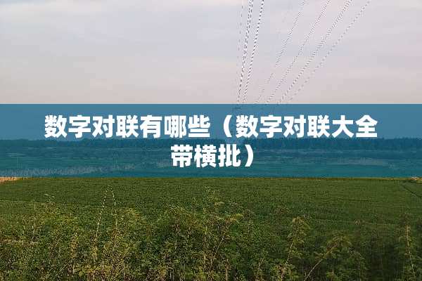 数字对联有哪些（数字对联大全带横批）