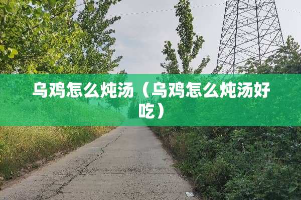 乌鸡怎么炖汤（乌鸡怎么炖汤好吃）