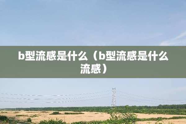 b型流感是什么（b型流感是什么流感）