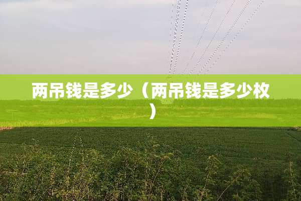 两吊钱是多少（两吊钱是多少枚）
