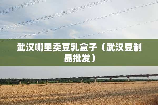 武汉哪里卖豆*盒子（武汉豆制品批发）