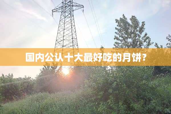 国内公认十大最好吃的月饼？
