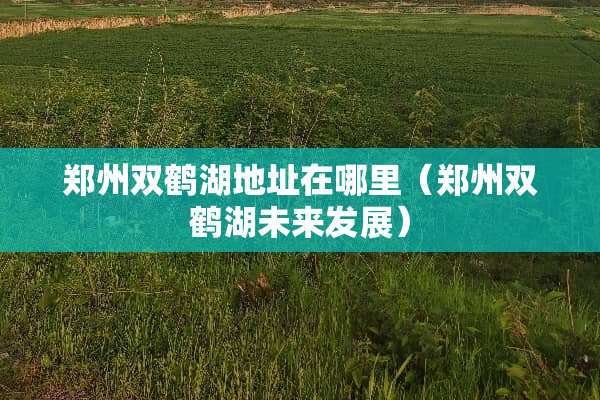 郑州双鹤湖地址在哪里（郑州双鹤湖未来发展）