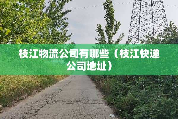枝江物流公司有哪些（枝江快递公司地址）