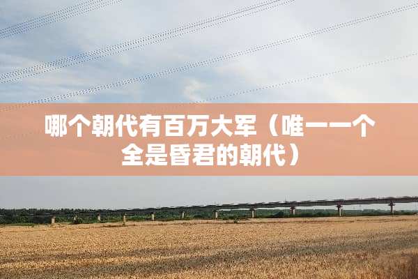 哪个朝代有百万大军（唯一一个全是昏君的朝代）