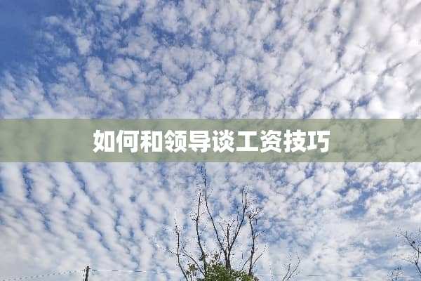 如何和领导谈工资技巧