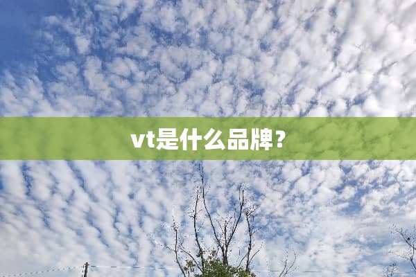 vt是什么品牌？