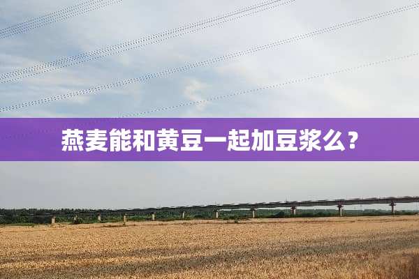 燕麦能和黄豆一起加豆浆么？