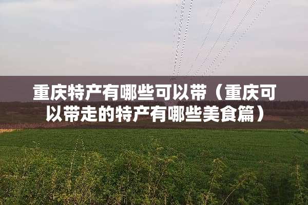 重庆特产有哪些可以带（重庆可以带走的特产有哪些美食篇）