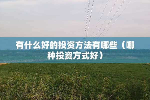有什么好的投资方法有哪些（哪种投资方式好）