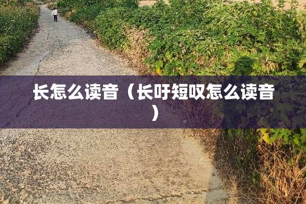 长怎么读音（长吁短叹怎么读音）