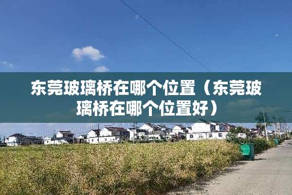 东莞玻璃桥在哪个位置（东莞玻璃桥在哪个位置好）