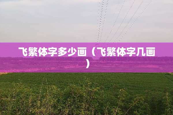飞繁体字多少画（飞繁体字几画）